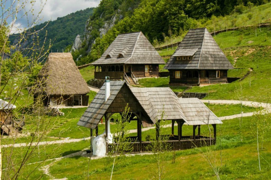 Raven'S Nest Hotel Sălciua de Jos Buitenkant foto