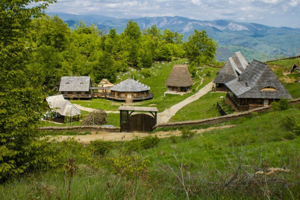 Raven'S Nest Hotel Sălciua de Jos Buitenkant foto