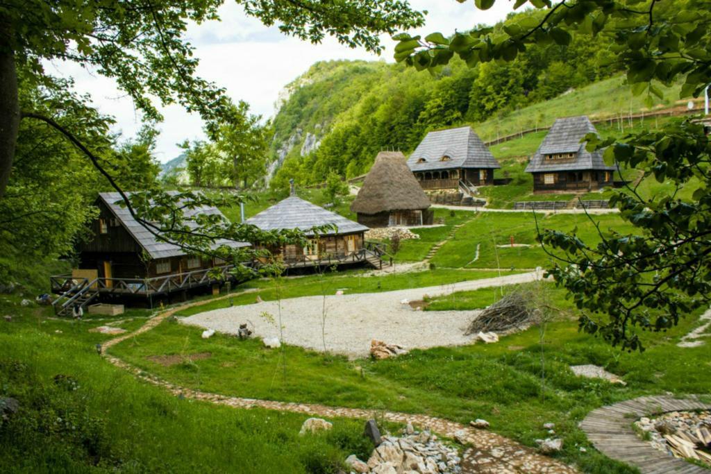 Raven'S Nest Hotel Sălciua de Jos Buitenkant foto