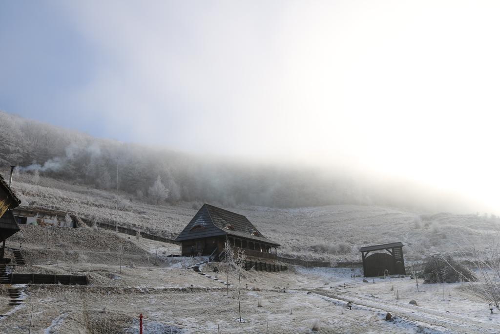 Raven'S Nest Hotel Sălciua de Jos Buitenkant foto