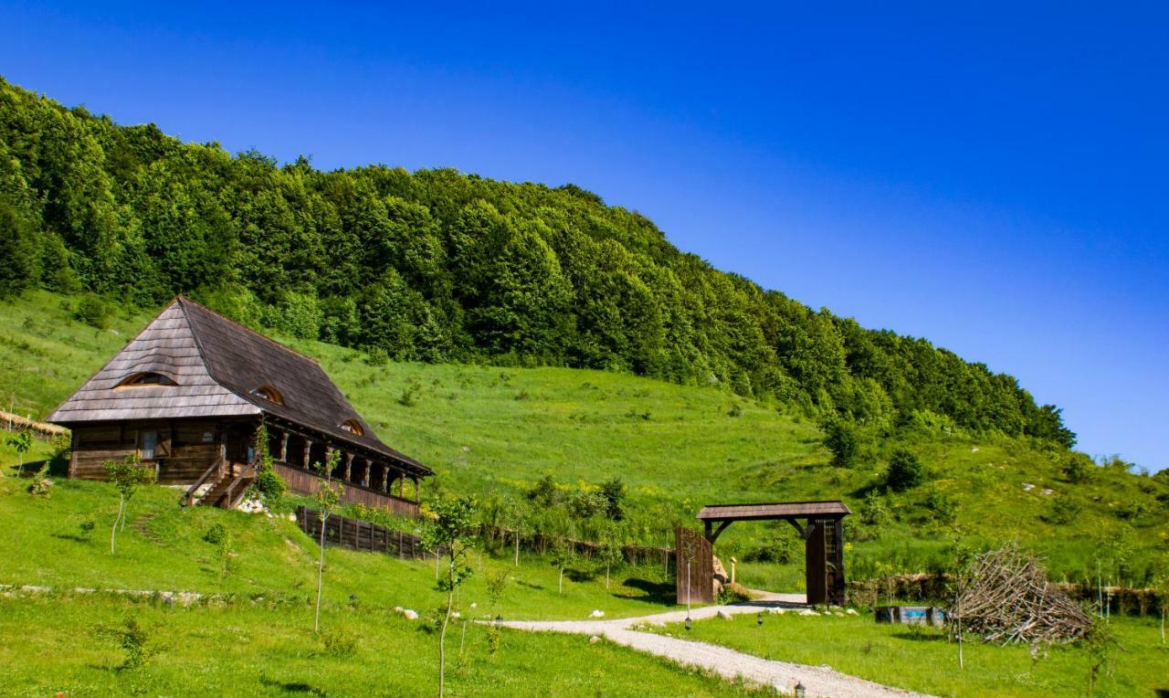 Raven'S Nest Hotel Sălciua de Jos Buitenkant foto